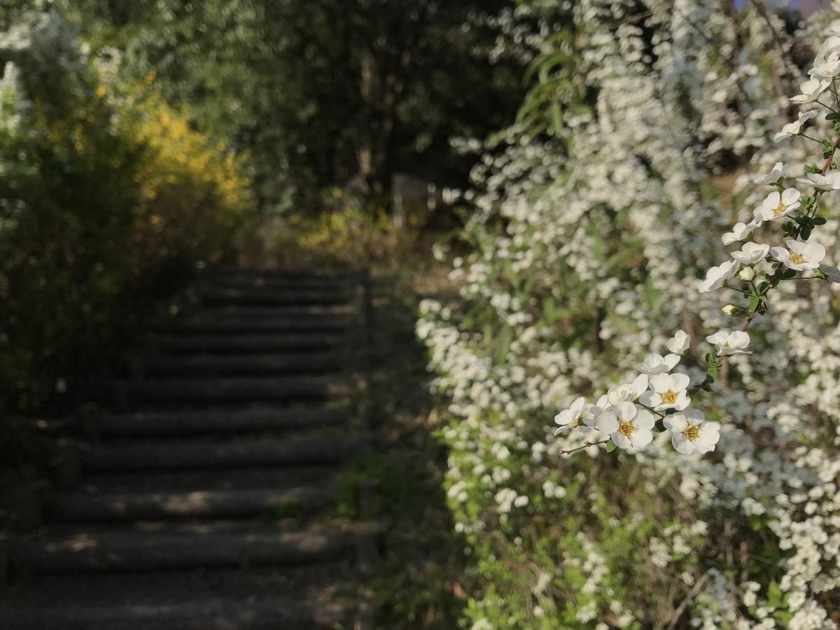 f:id:zanzow:20190513153554j:plain f:id:zanzow:20190513153554j:plain