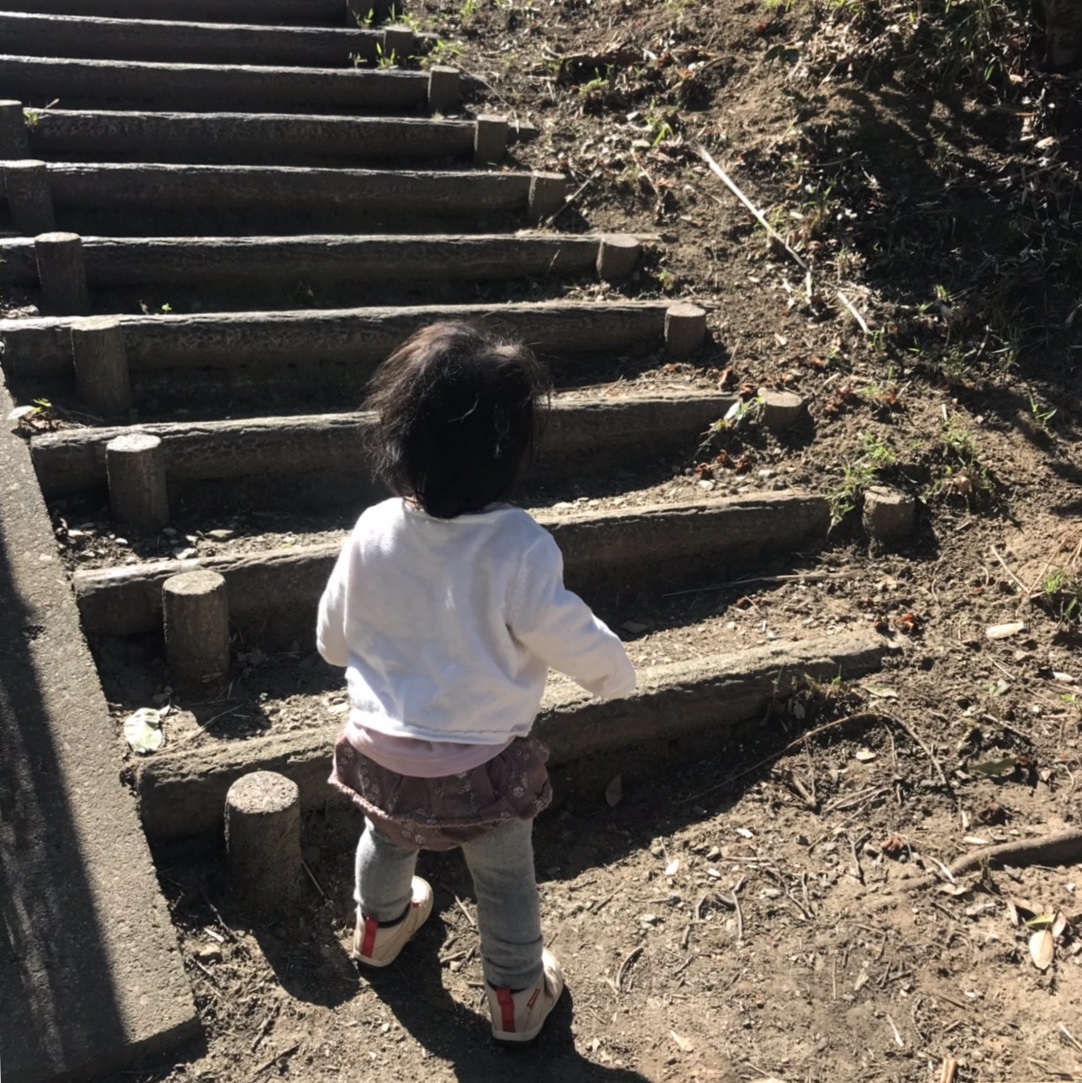 f:id:zanzow:20190513155348j:plain f:id:zanzow:20190513155348j:plain