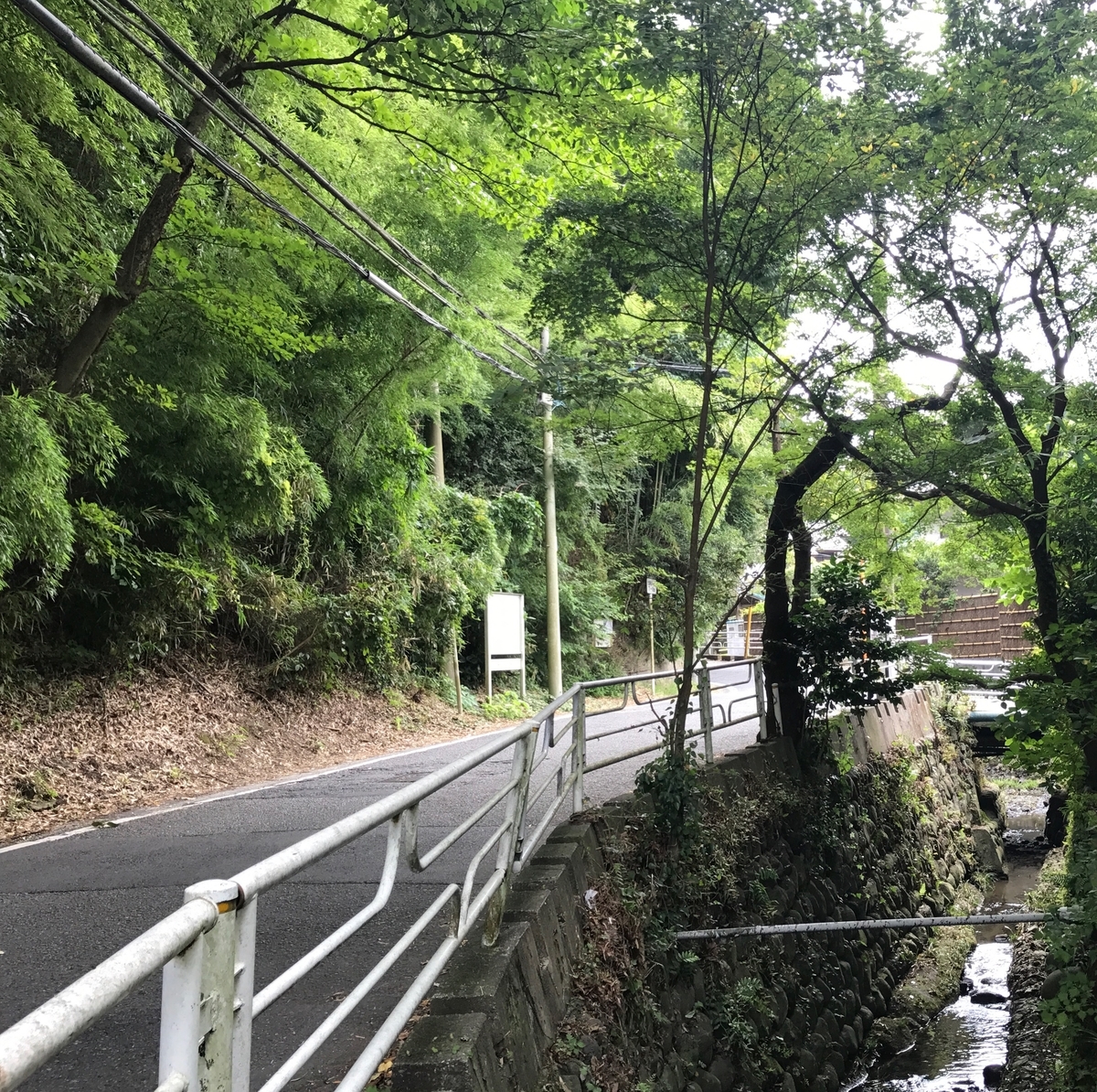 想う風景 北鎌倉 瓜が谷 日々の残像vi 音楽と暮らし