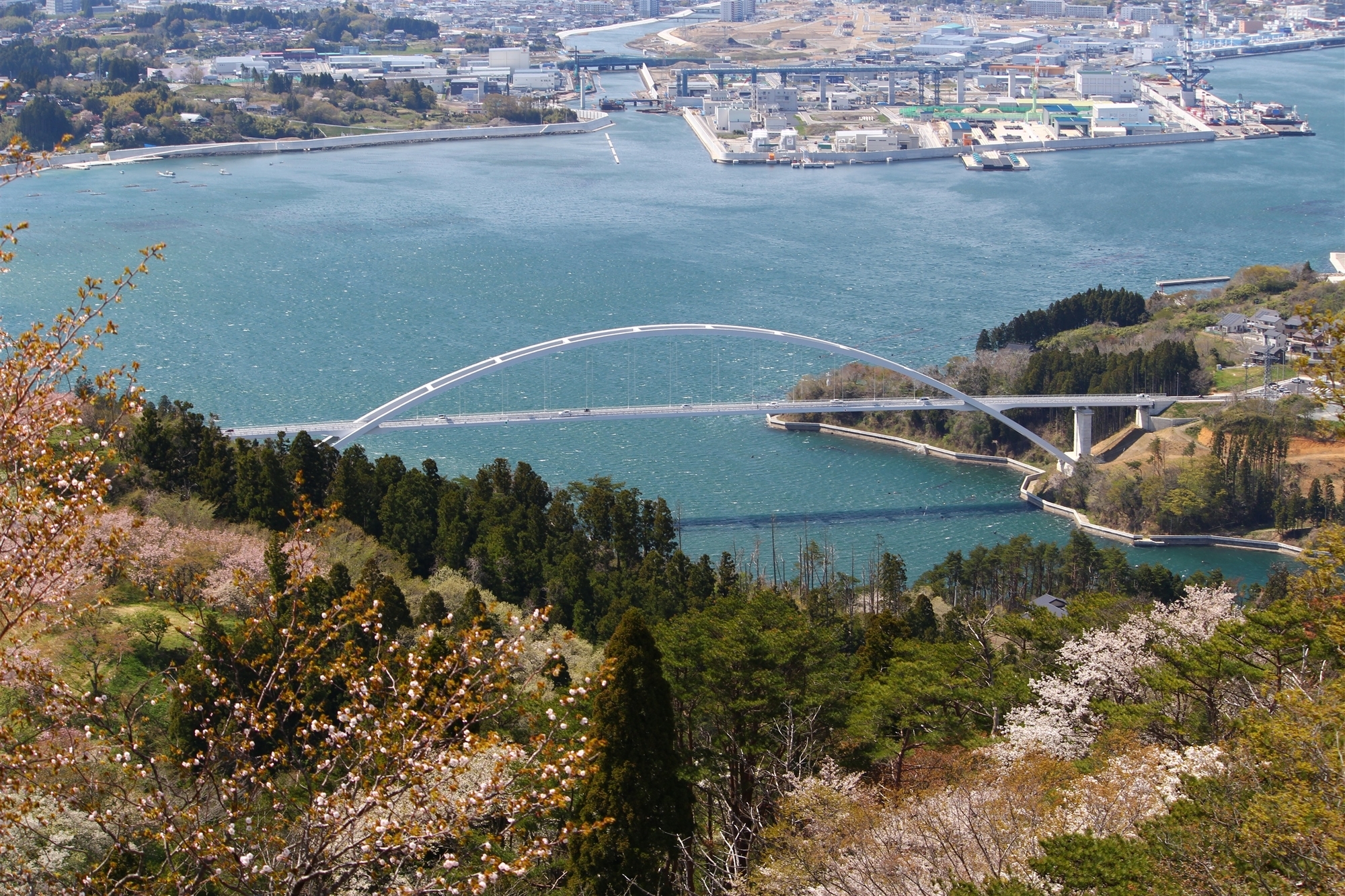 大島大橋 亀山山頂から