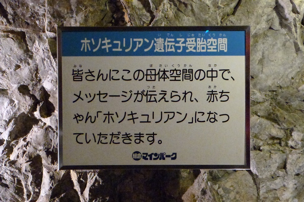 マインパーク ホソキュリアン解説