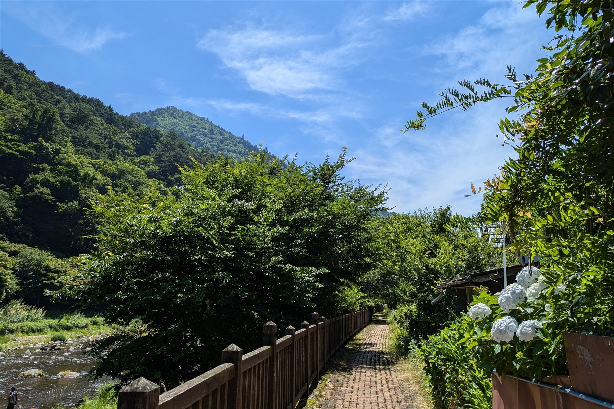 塩原温泉　遊歩道　初夏　箒川