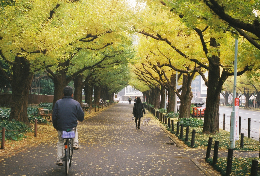 f:id:zap_eel:20161121200150j:plain