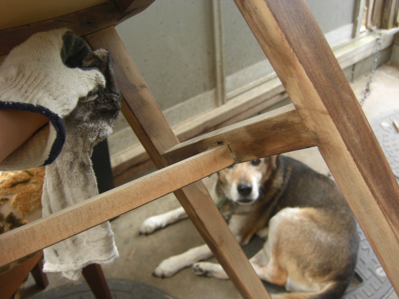 f:id:zappa38:20101030114918j:image