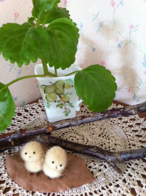 f:id:zappa38:20110821191656j:image