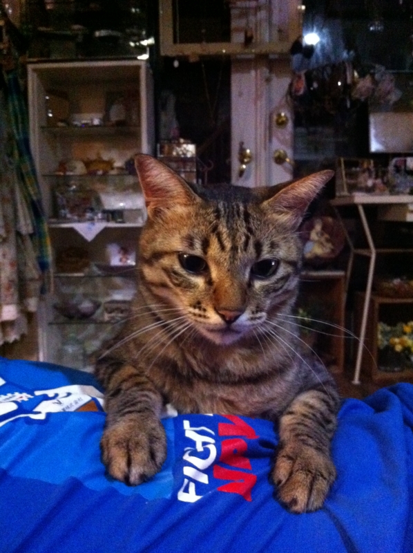 f:id:zappa38:20110821195418j:image