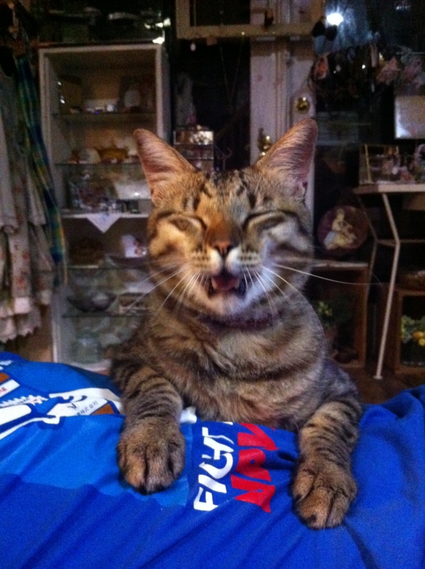 f:id:zappa38:20110821195425j:image