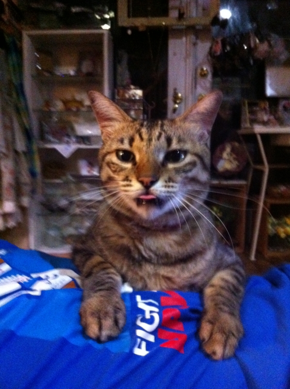 f:id:zappa38:20110821195433j:image