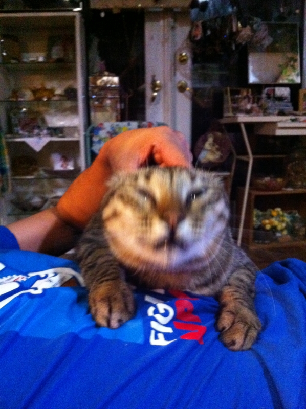 f:id:zappa38:20110821195636j:image