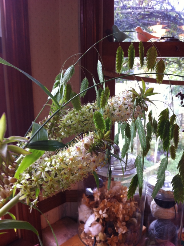 f:id:zappa38:20110825203123j:image