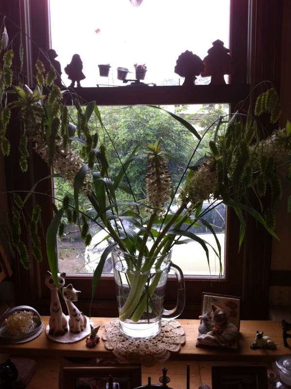 f:id:zappa38:20110825203130j:image