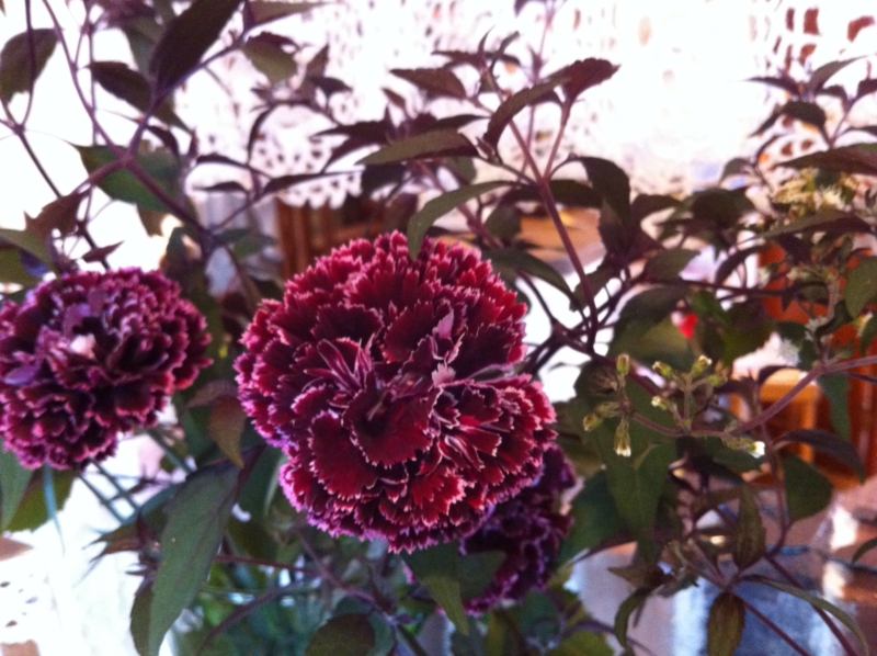 f:id:zappa38:20110825203213j:image