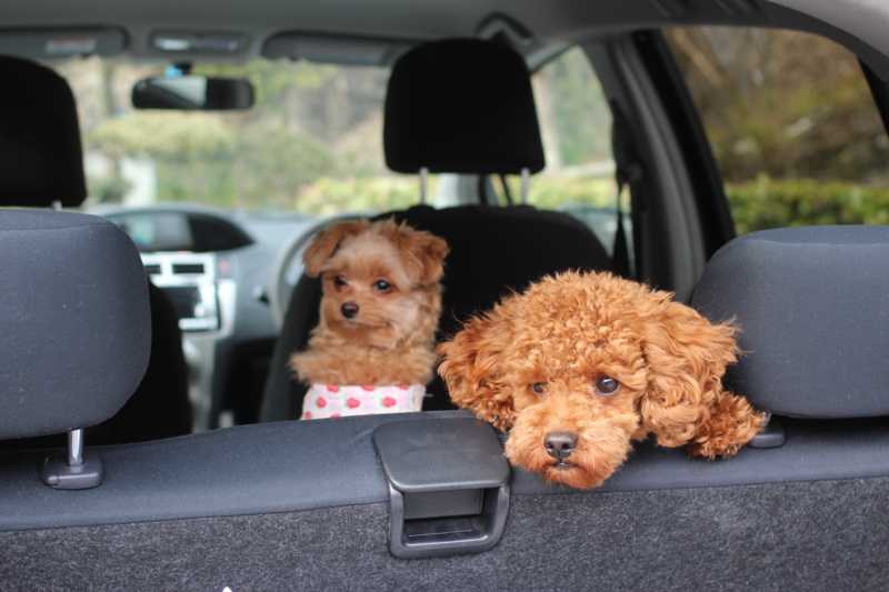 f:id:zappa38:20120319211150j:image