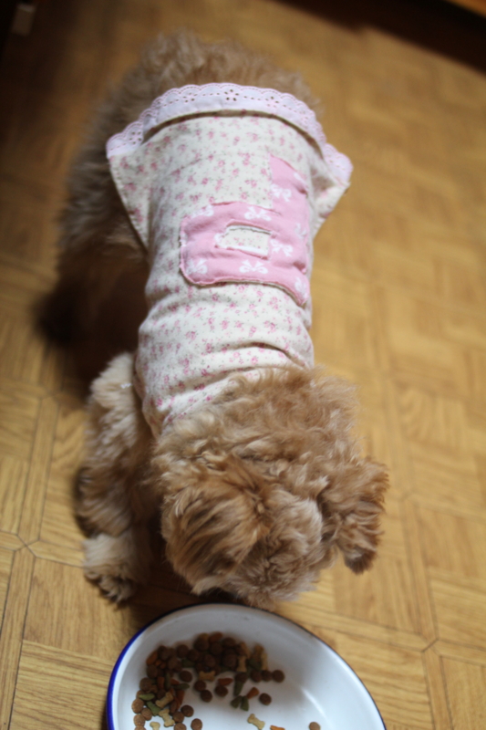 f:id:zappa38:20120319211849j:image