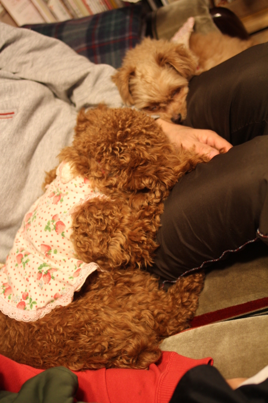 f:id:zappa38:20120321212936j:image