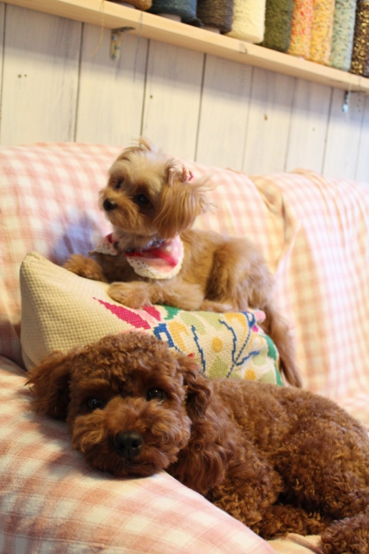 f:id:zappa38:20120902201454j:image