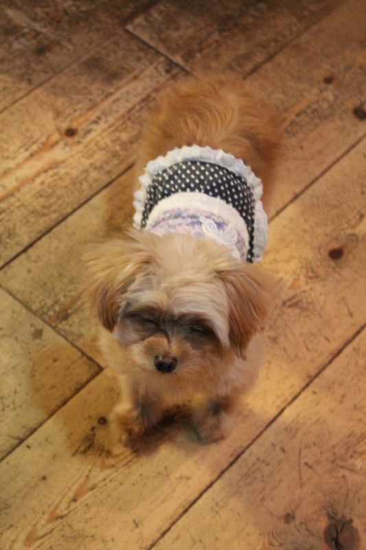 f:id:zappa38:20130126192100j:image