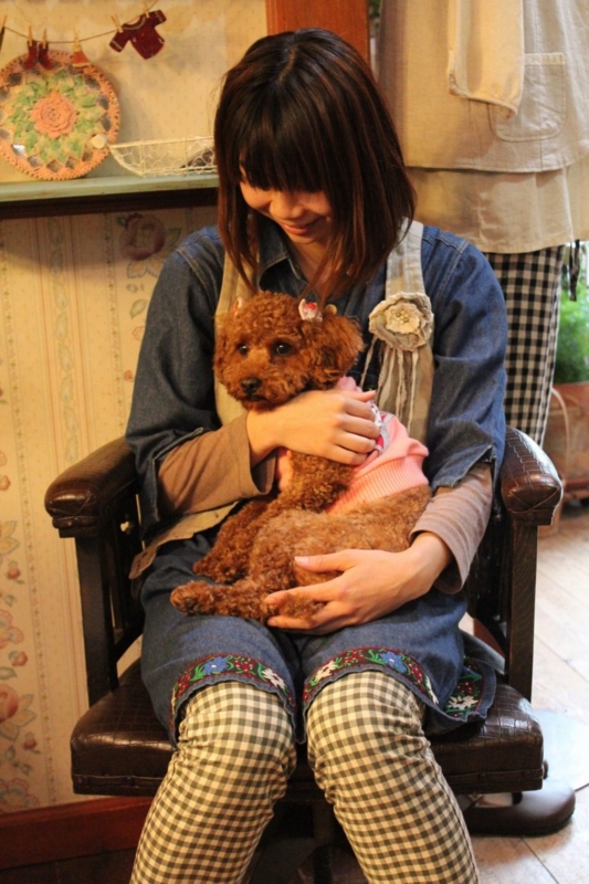 f:id:zappa38:20130424194246j:image