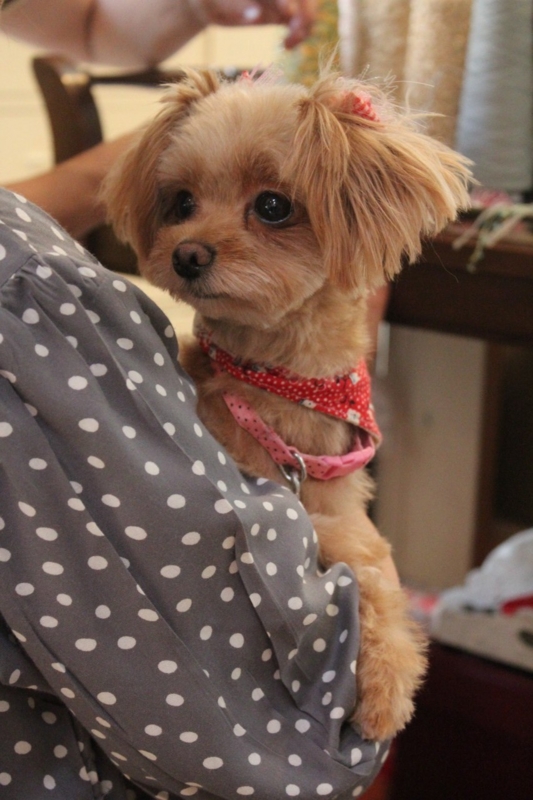 f:id:zappa38:20130821182452j:image