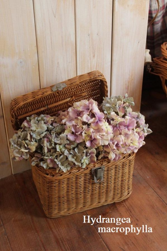 f:id:zappa38:20130821182515j:image