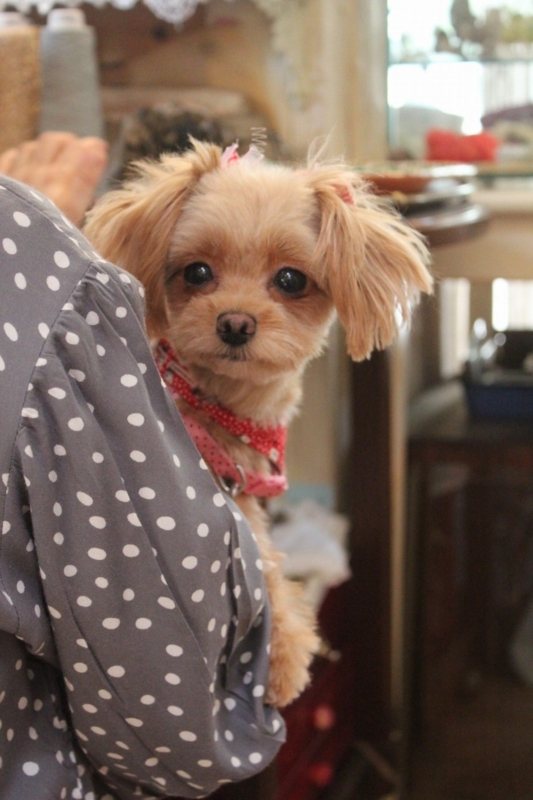 f:id:zappa38:20130821182539j:image