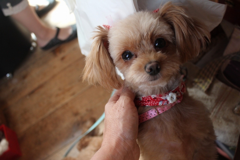 f:id:zappa38:20130821203808j:image