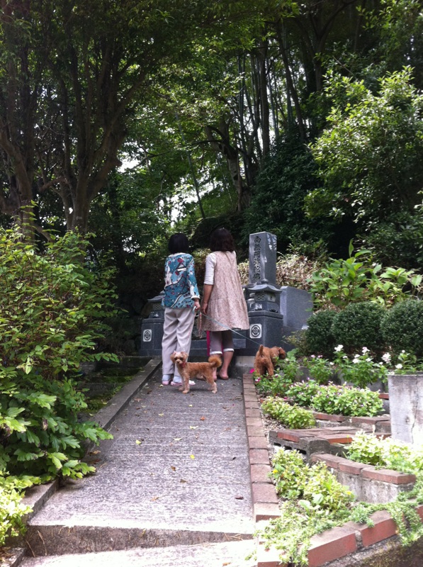 f:id:zappa38:20130826200329j:image