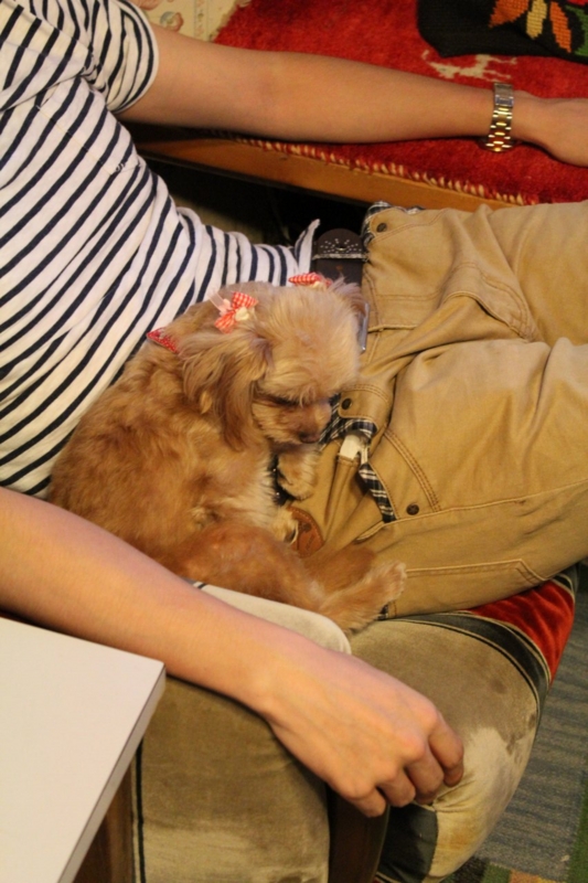 f:id:zappa38:20130831220547j:image