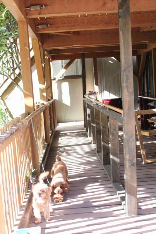 f:id:zappa38:20130916195010j:image