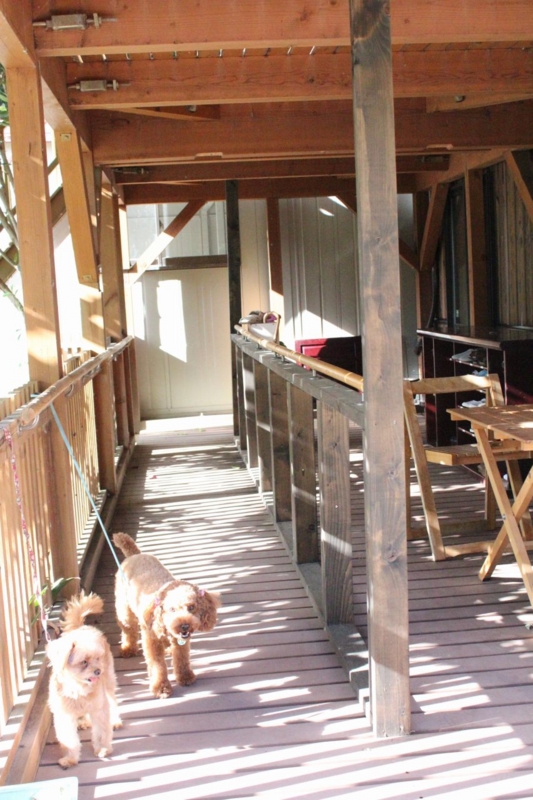 f:id:zappa38:20130916195012j:image