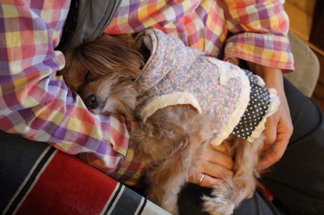 f:id:zappa38:20131118171044j:image