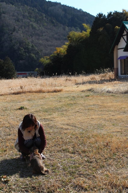 f:id:zappa38:20140303212451j:image f:id:zappa38:20140303212451j:image