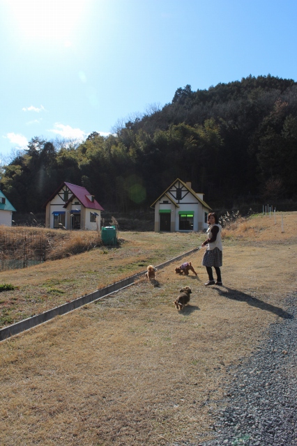 f:id:zappa38:20140303212454j:image f:id:zappa38:20140303212454j:image
