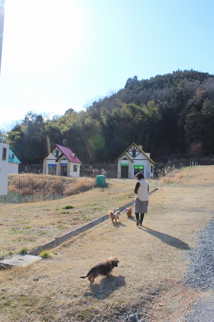 f:id:zappa38:20140303212455j:image f:id:zappa38:20140303212455j:image