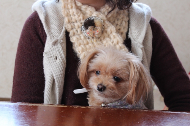 f:id:zappa38:20140303212459j:image f:id:zappa38:20140303212459j:image