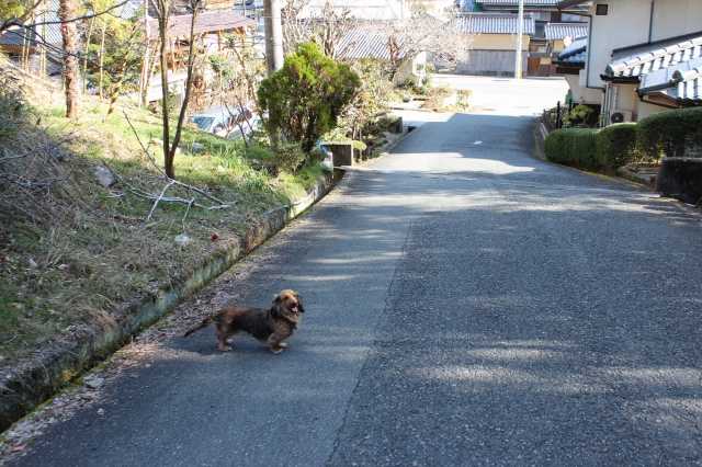f:id:zappa38:20140303212535j:image f:id:zappa38:20140303212535j:image