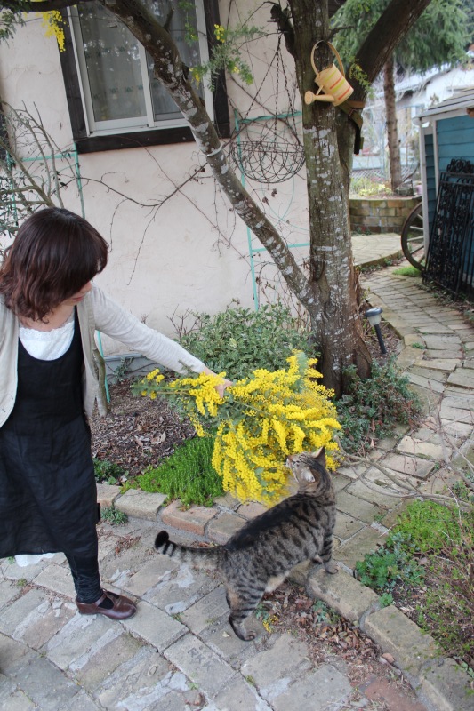 f:id:zappa38:20140324204934j:image