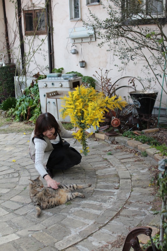 f:id:zappa38:20140324204935j:image