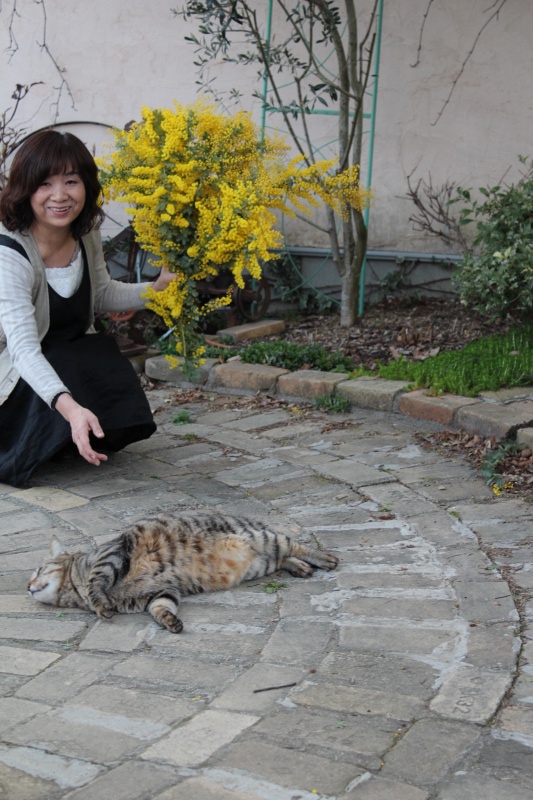 f:id:zappa38:20140324204936j:image