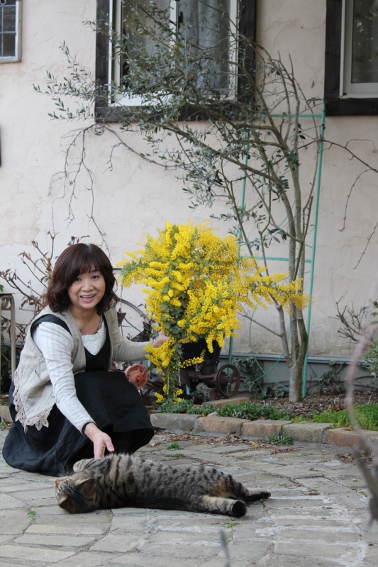 f:id:zappa38:20140324204940j:image