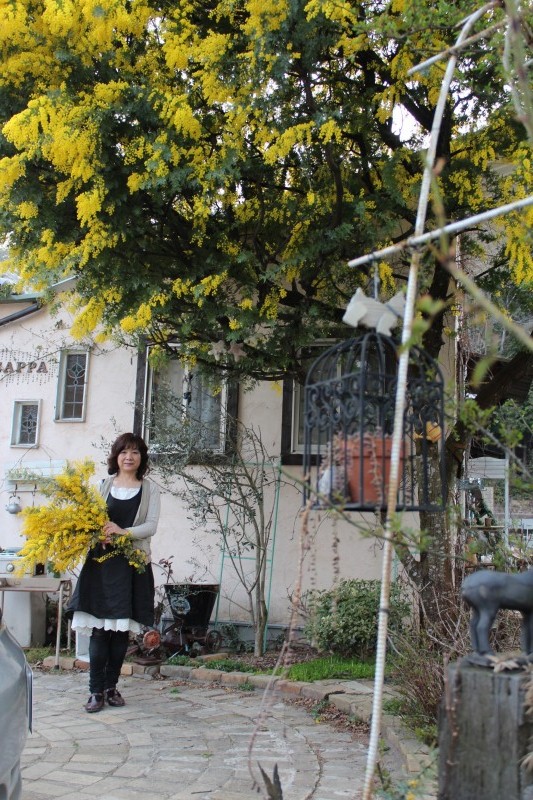 f:id:zappa38:20140324204941j:image