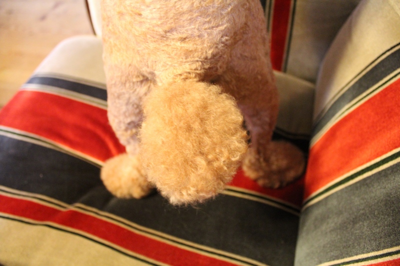 f:id:zappa38:20140610211925j:image