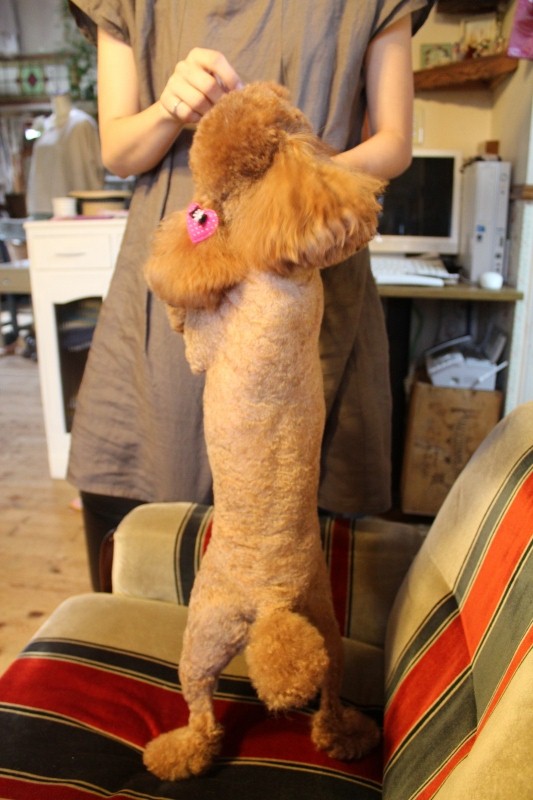 f:id:zappa38:20140610211926j:image