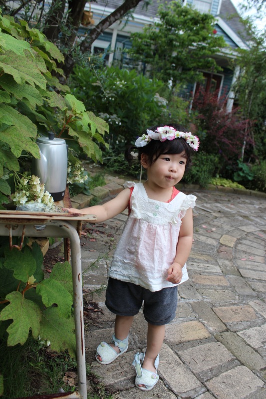 f:id:zappa38:20140705201354j:image f:id:zappa38:20140705201354j:image