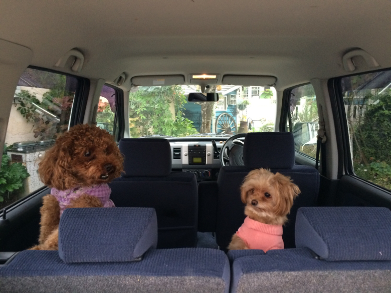 f:id:zappa38:20141020194553j:image