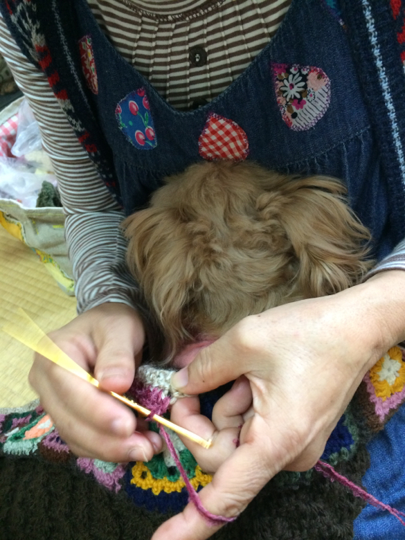 f:id:zappa38:20141020194606j:image