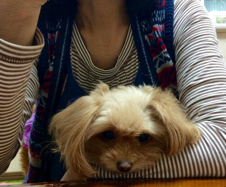 f:id:zappa38:20141020194808j:image