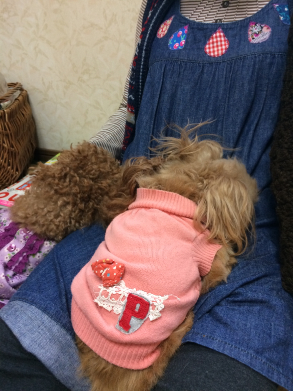 f:id:zappa38:20141020194835j:image