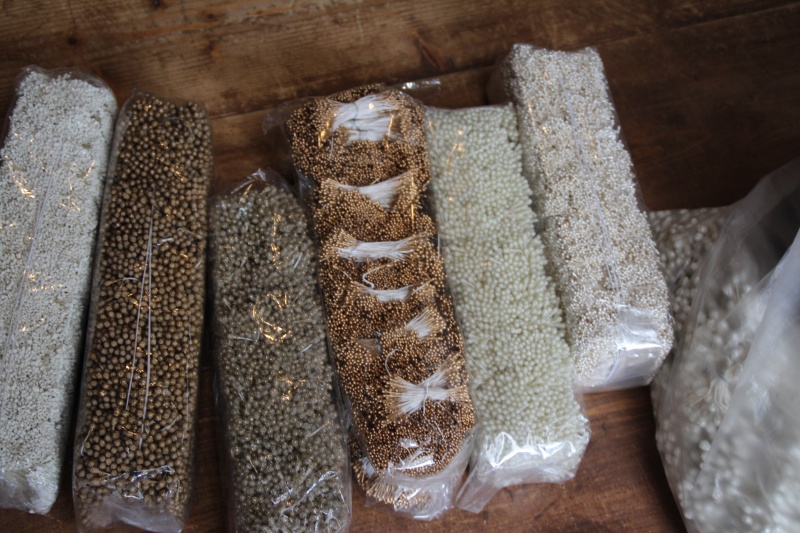 f:id:zappa38:20141031191542j:image