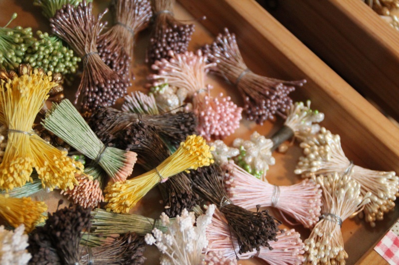 f:id:zappa38:20141031191544j:image